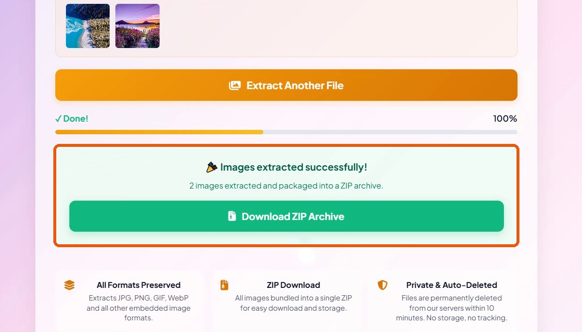 Images extracted successfully message with Download ZIP Archive button