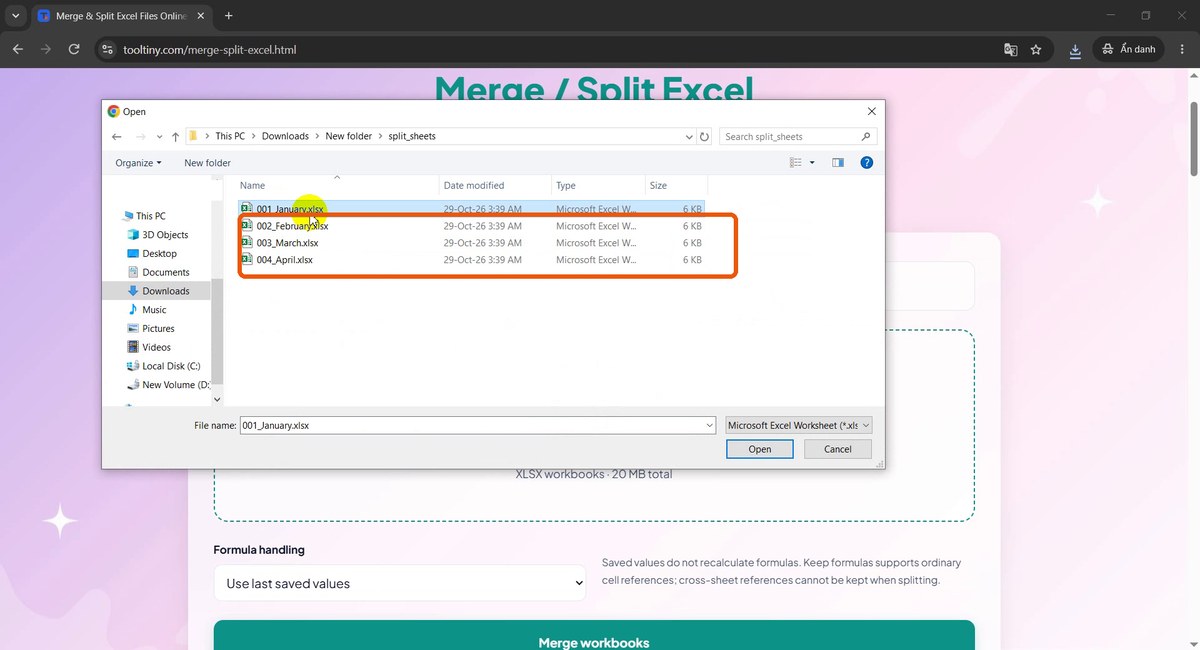 Open dialog with January and February workbooks selected