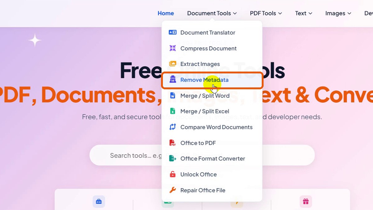 Document Tools menu with Remove Metadata highlighted