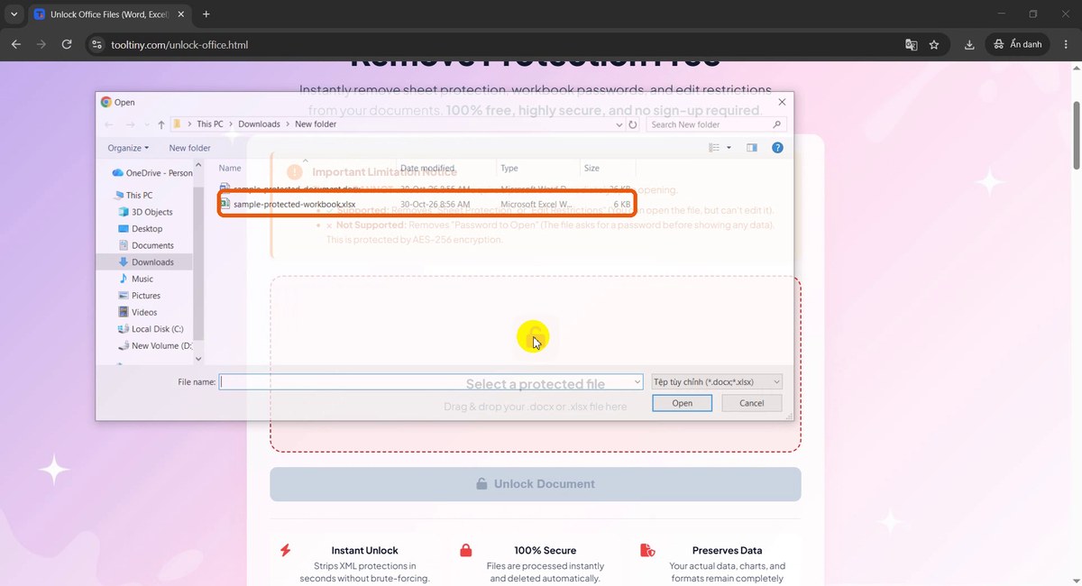 Open dialog with the protected workbook selected